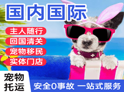 济南遥墙机场货运国际宠物托运 【国